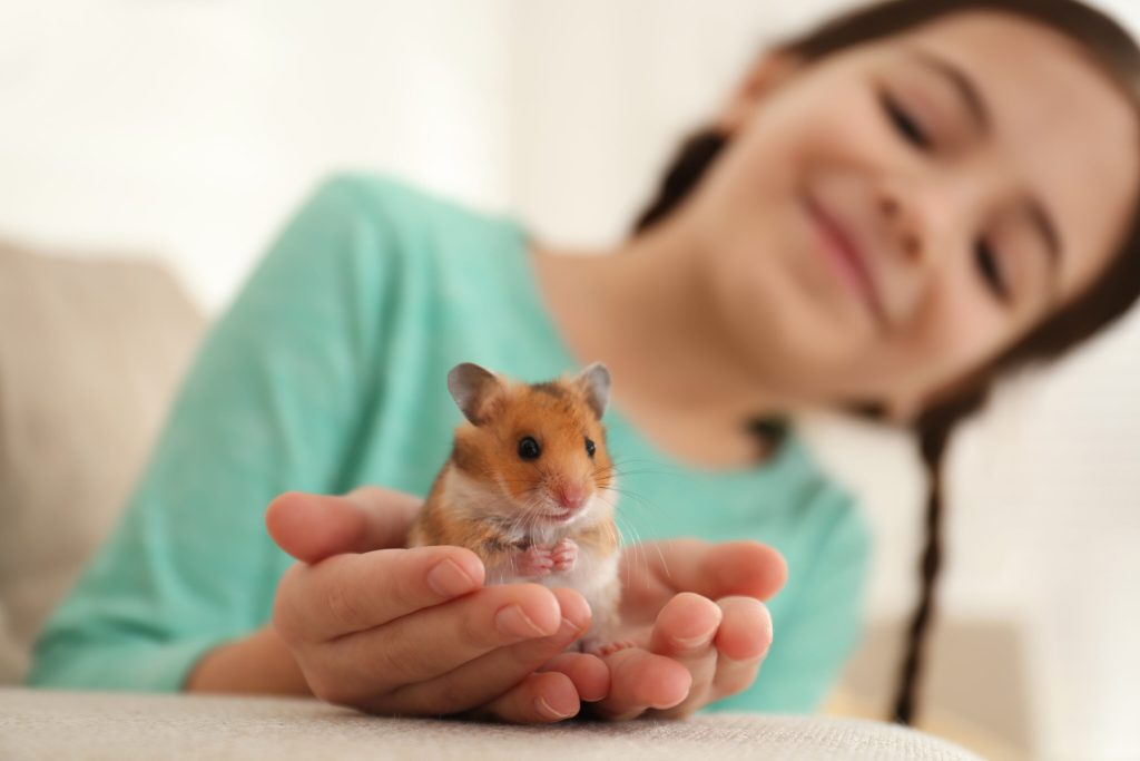 Brusel chystá další zákaz. Na řadě jsou křečci a papoušci | Deník TO
