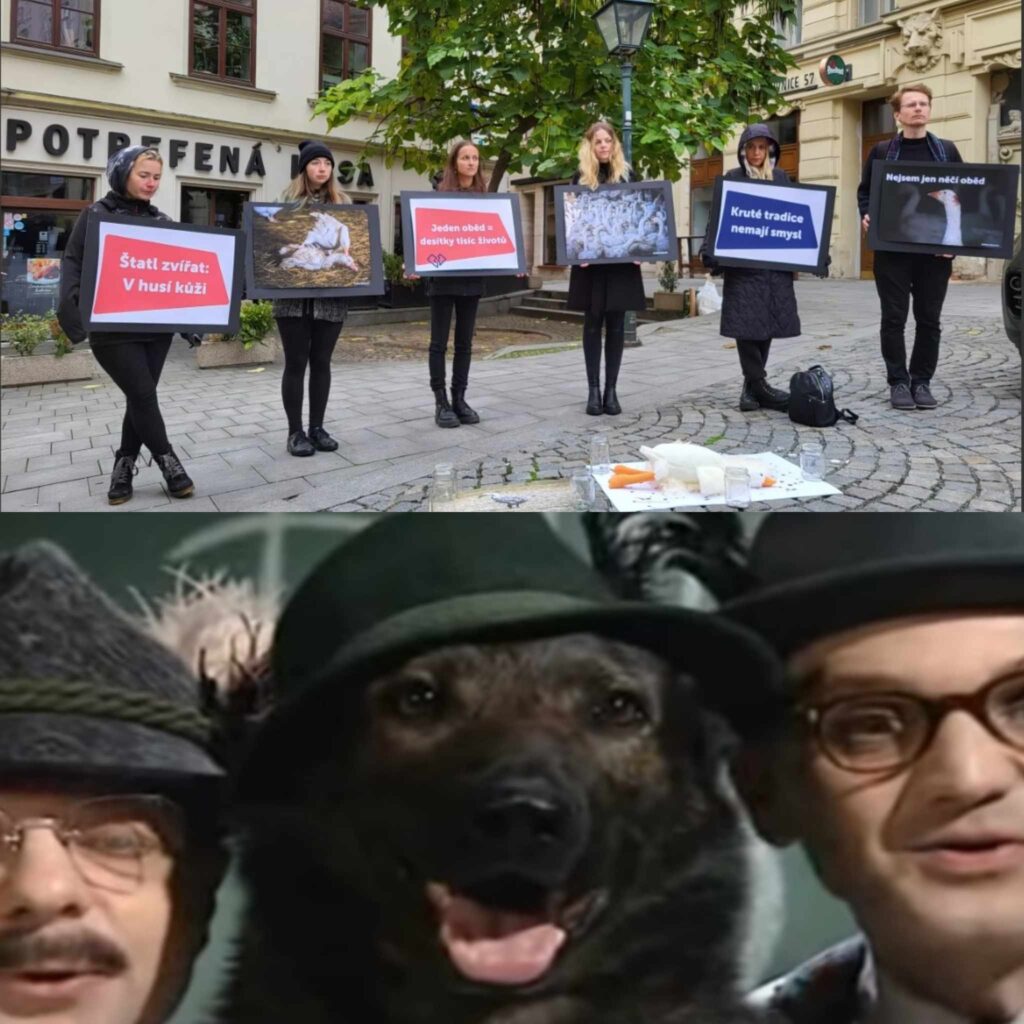 Tolerance je fajn, ale nesmí být jen jednostranná | Deník TO