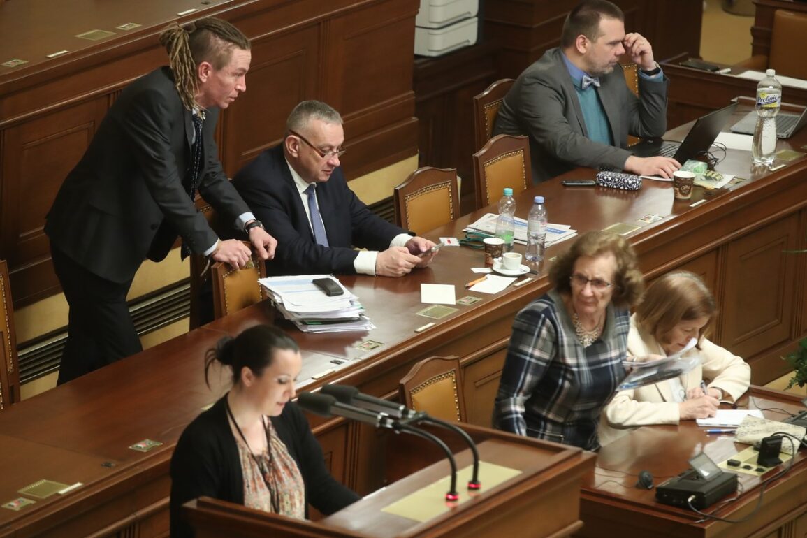 Poslanecké kluby budou dostávat stejné příspěvky jako loni, nejvíc ANO