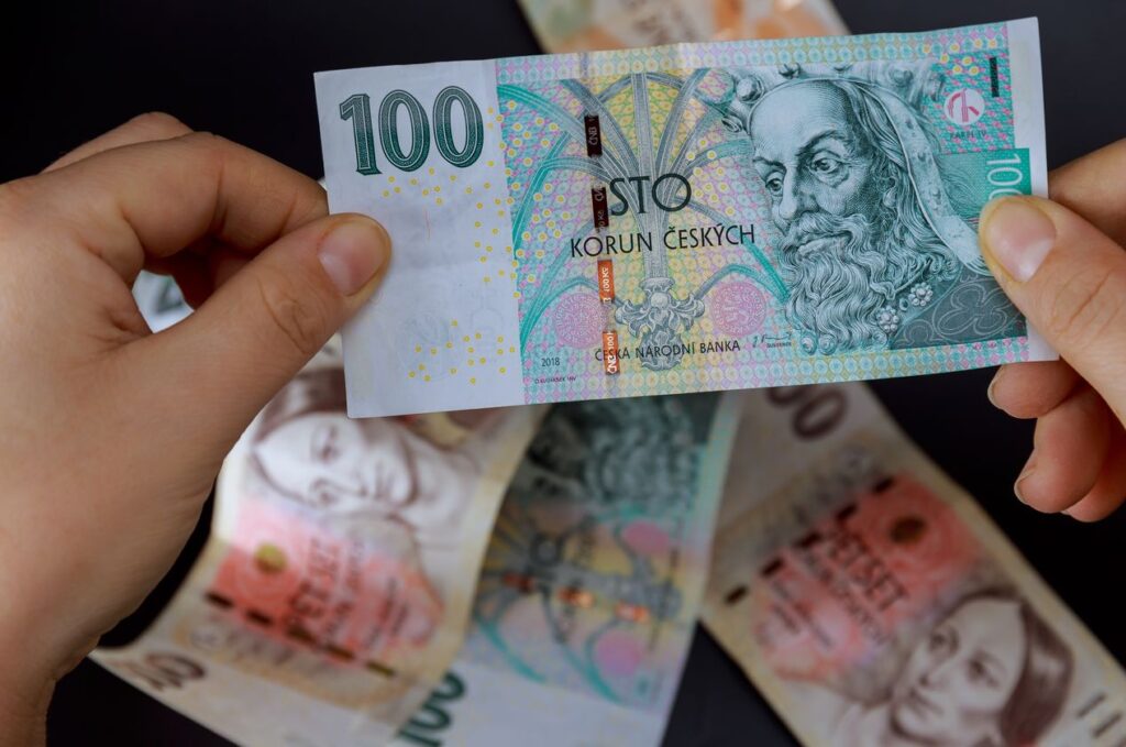 Zavedení eura? Politici stupňují tlak na úkor prosperity a nezávislosti ČR | Deník TO