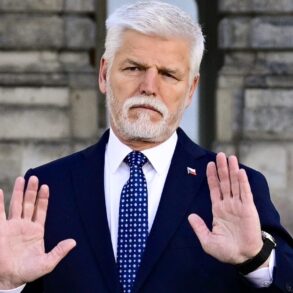 Prezident Petr Pavel