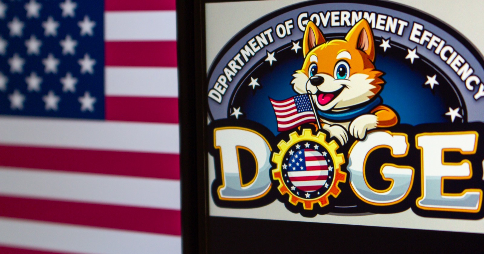D.o.G.E. - Department of Government Efficiency, zdroj: Shutterstock