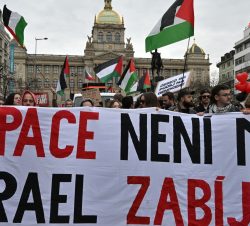 Pochod solidarity s Palestinou. Zdroj: Profimedia