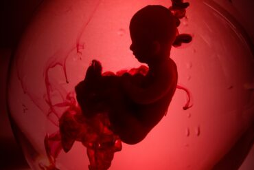 Potrat - ilustrační foto