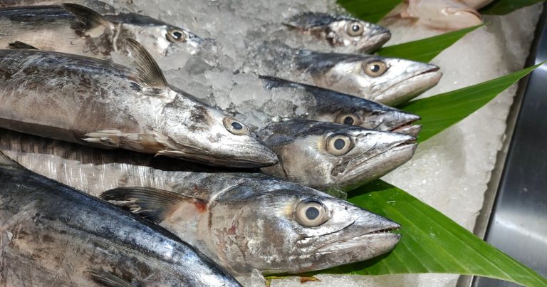 Makrely - ilustrační foto