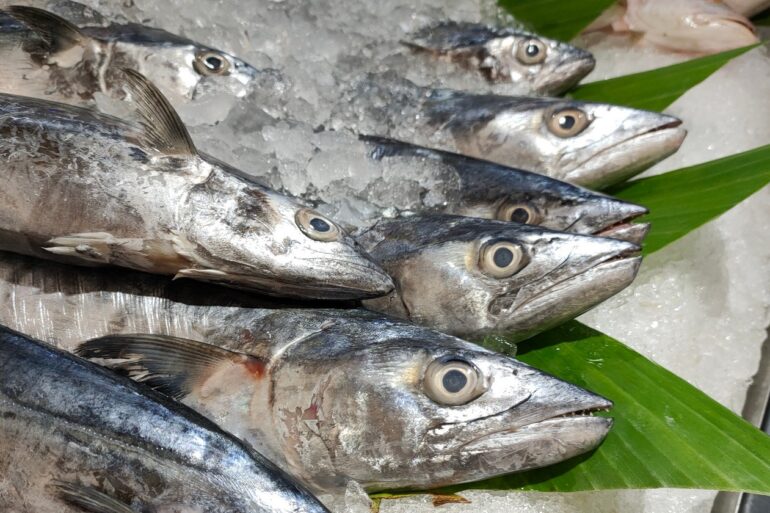 Makrely - ilustrační foto