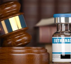 Eutanazie - ilustrační foto