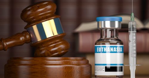 Eutanazie - ilustrační foto