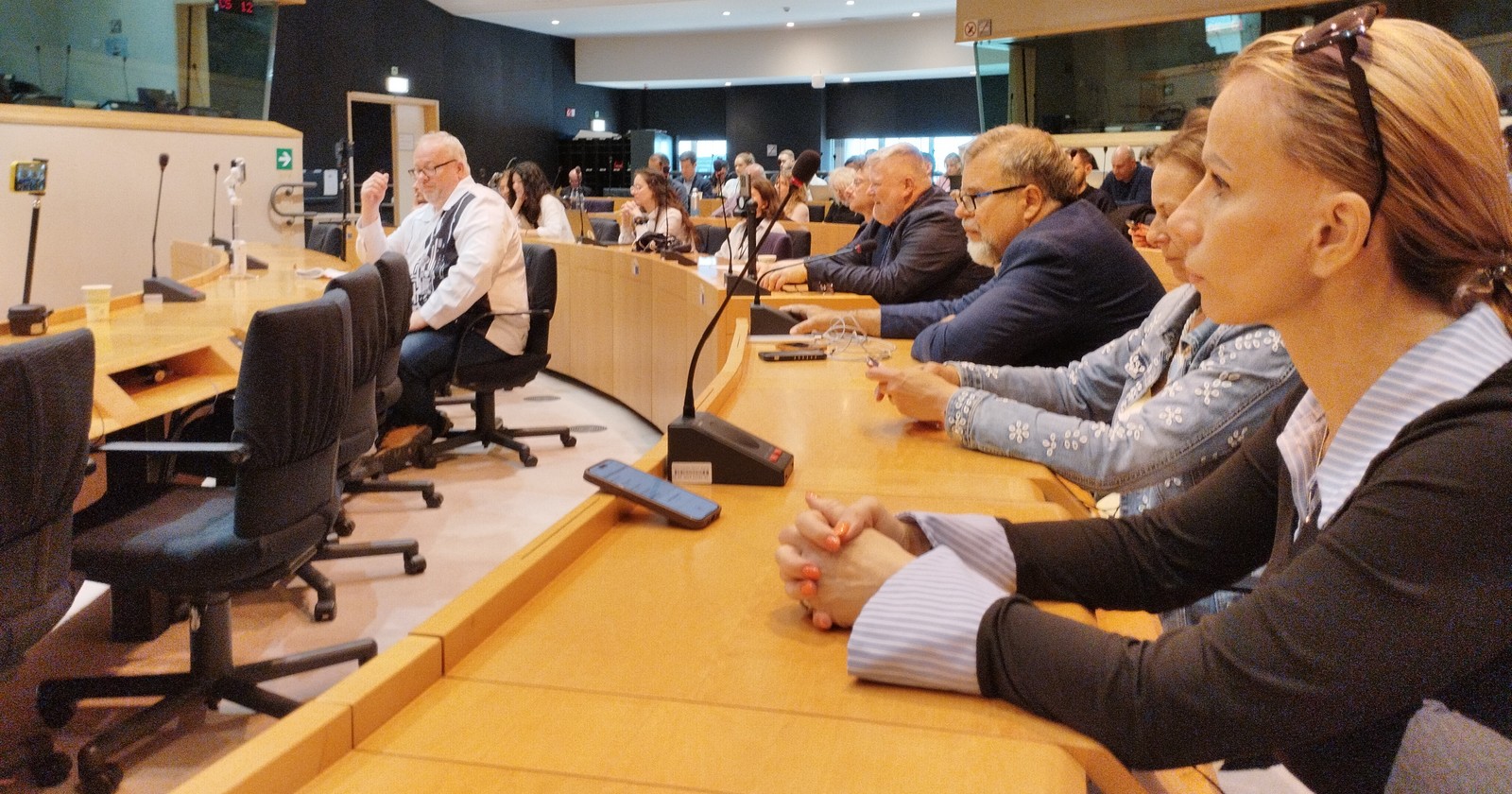 Česká výprava v Evropském parlamentu