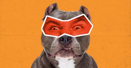 Hlídací pes demokracie, či šelma psovitá utžená ze řetězu?