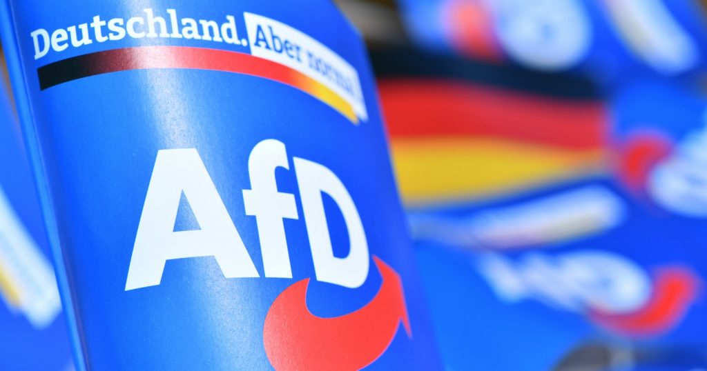AfD na vítězné vlně. Německým elitám zbývají už jen dvě možnosti | Deník TO