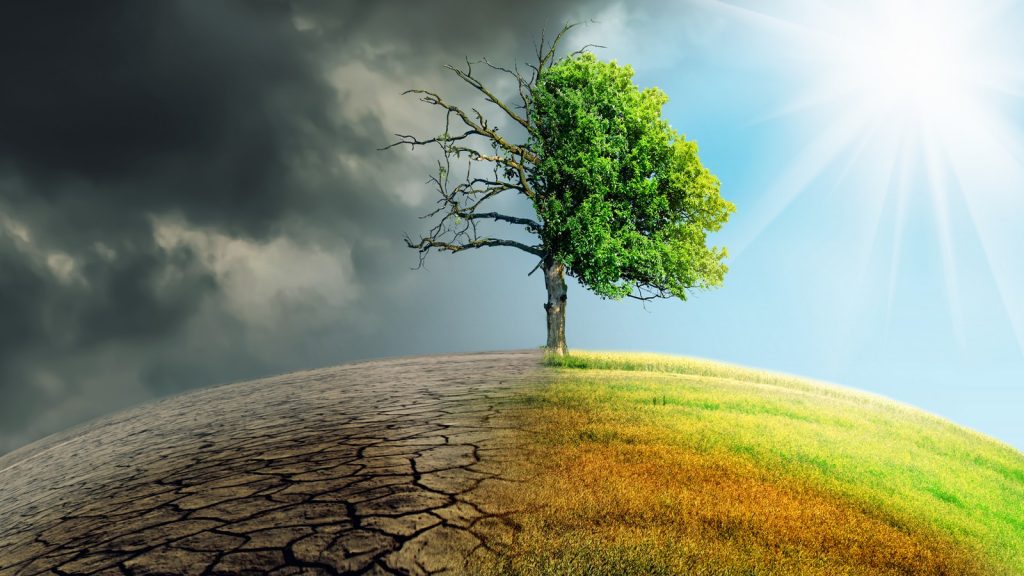 Klimatická realita neodpovídá vlastním predikcím | Deník TO