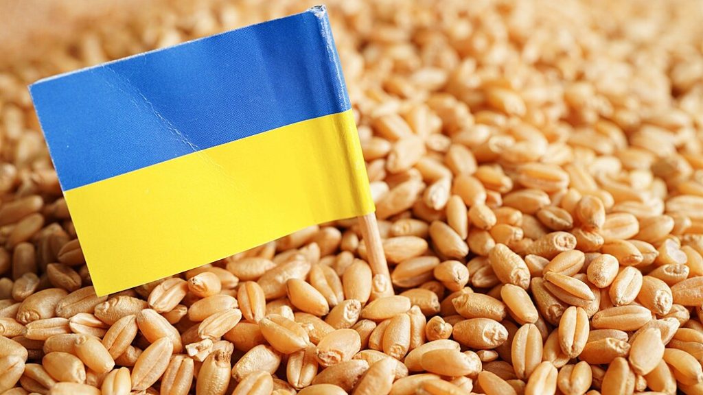 Válka ničí ukrajinské zemědělství. Obilí zůstává ve skladech | Deník TO