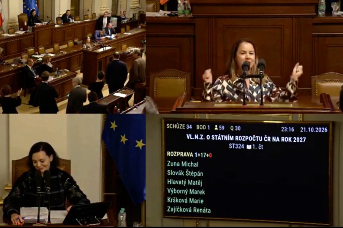 Menopauza zdravého rozumu aneb Debilizace veřejného prostoru na postupu